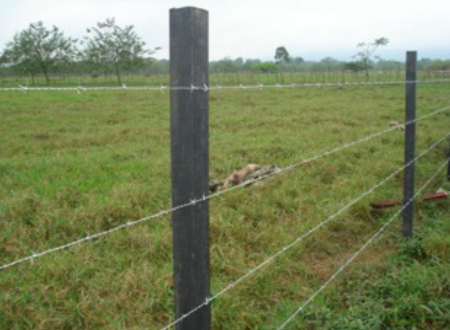 agricultura